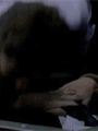 5210_13.gif